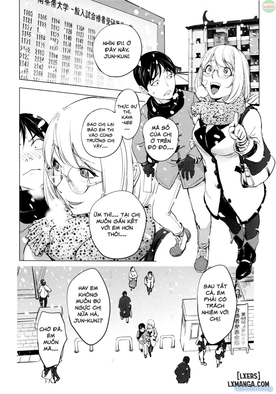 KayaNetori Kaya-Nee Series Aizou Bannn 