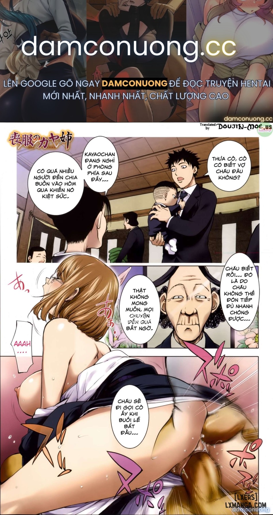 KayaNetori Kaya-Nee Series Aizou Bannn 