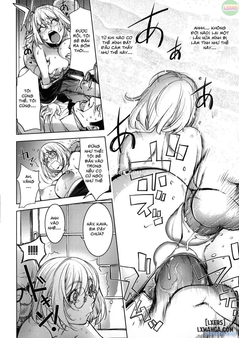 KayaNetori Kaya-Nee Series Aizou Bannn 