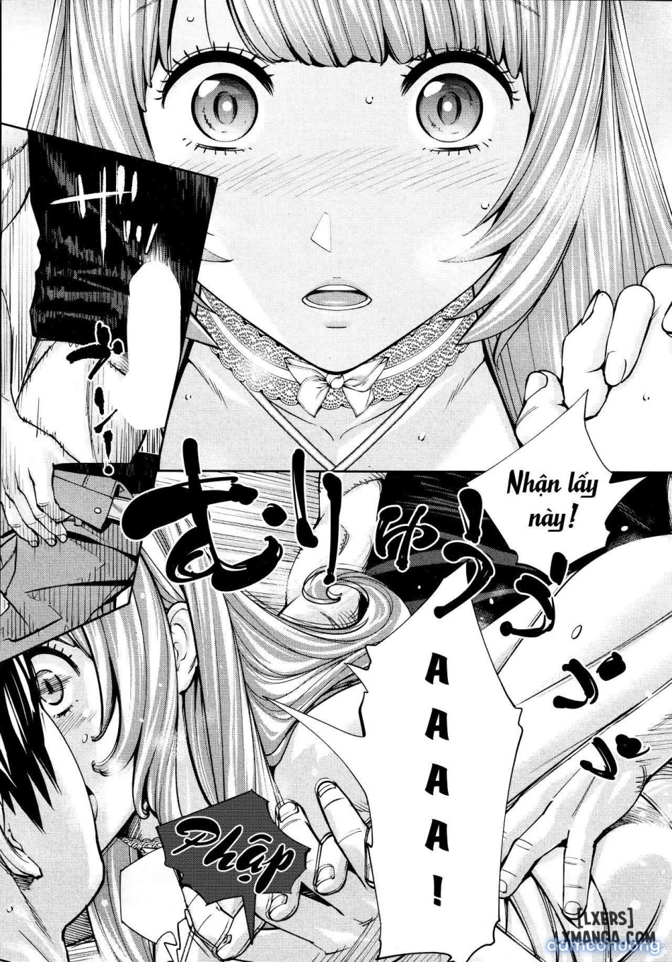 Chitoseee 