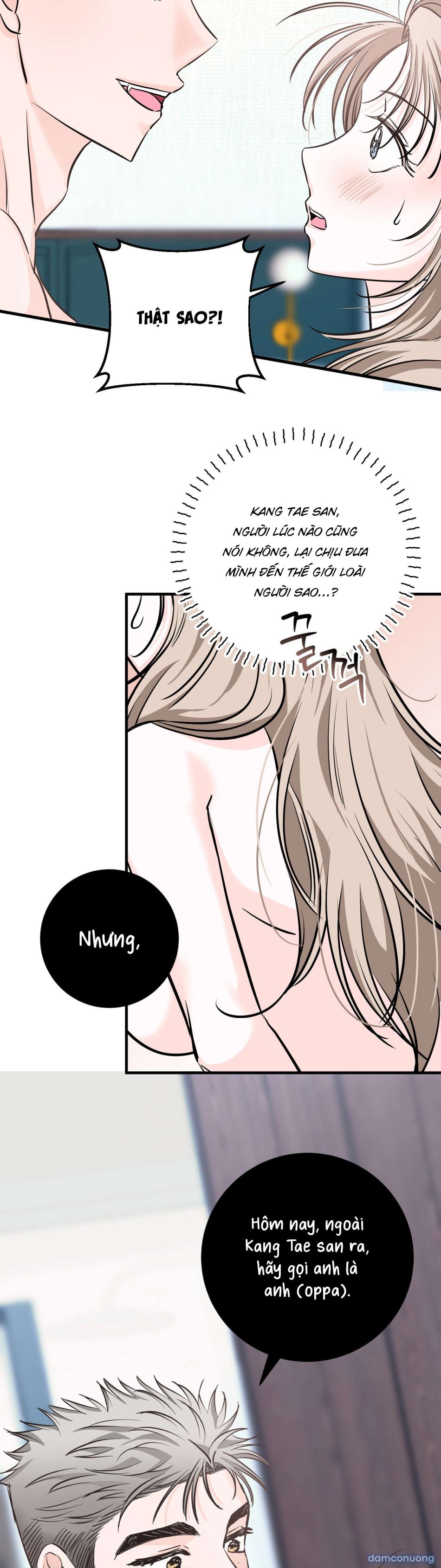 [ 18+ ] Con sói nguy hiểm! 