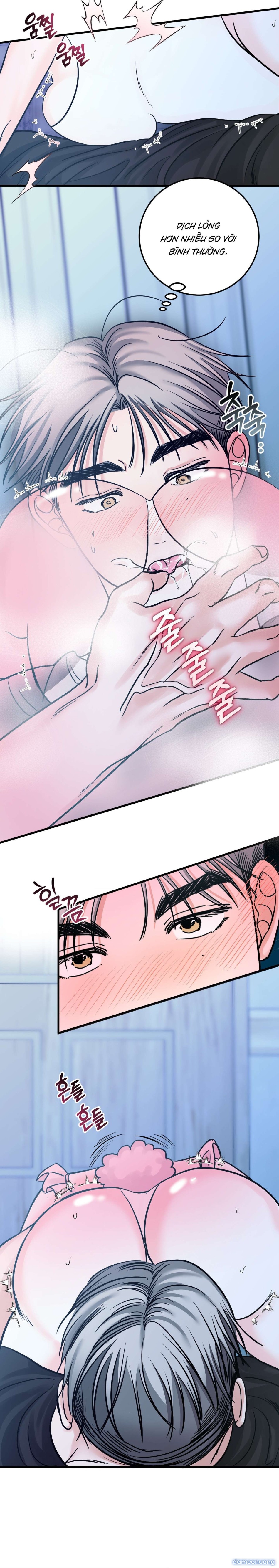 [ 18+ ] Con sói nguy hiểm! 