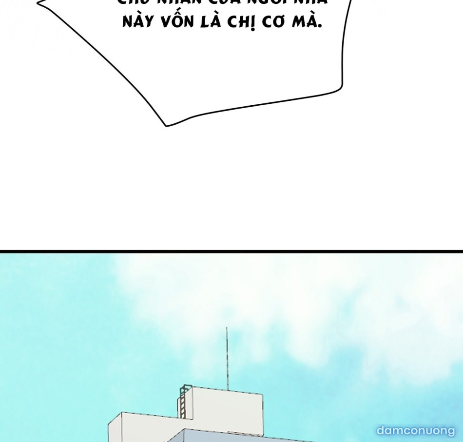 Sự Quyến Rũ Lạnh Lùng 