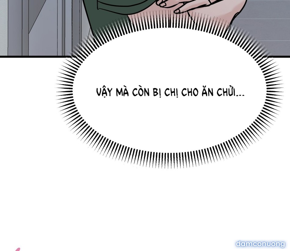 Sự Quyến Rũ Lạnh Lùng 