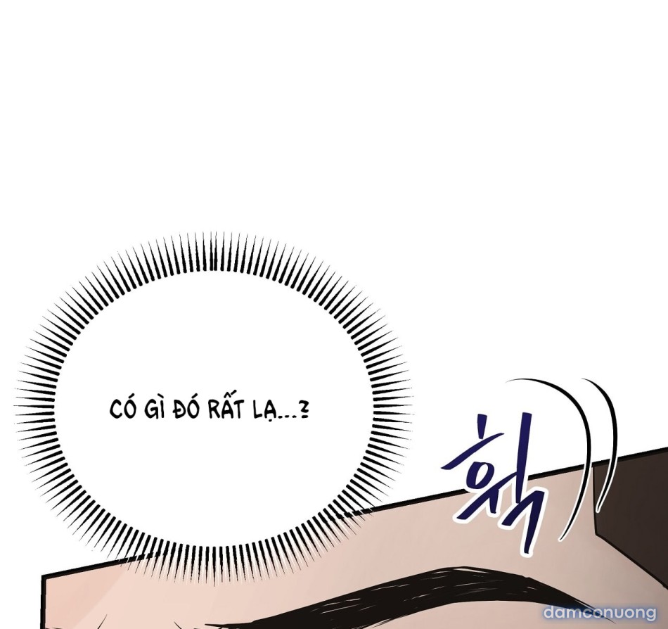 Sự Quyến Rũ Lạnh Lùng 