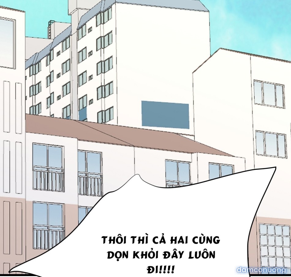 Sự Quyến Rũ Lạnh Lùng 