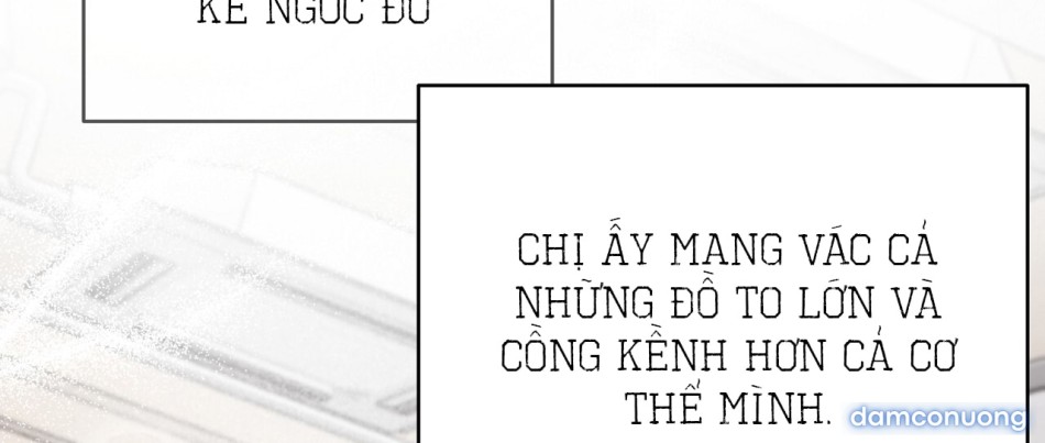 Sự Quyến Rũ Lạnh Lùng 
