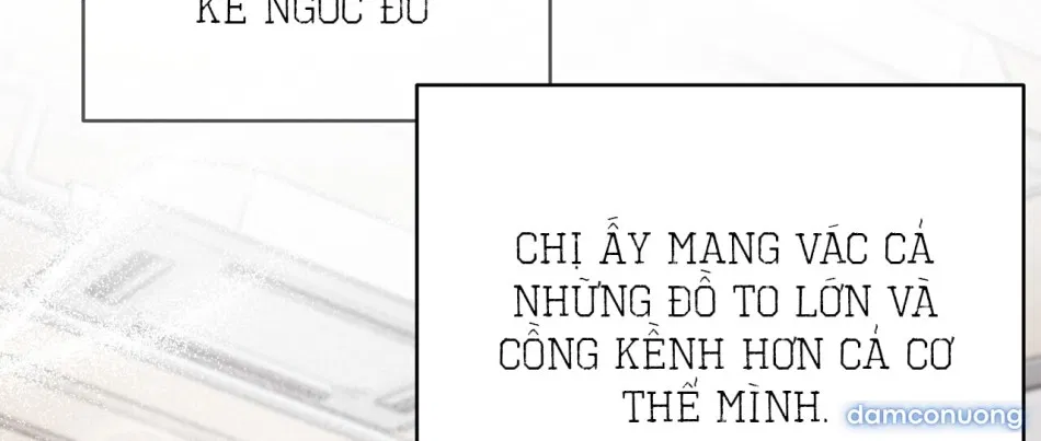 Sự Quyến Rũ Lạnh Lùng 
