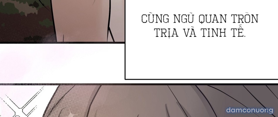 Sự Quyến Rũ Lạnh Lùng 