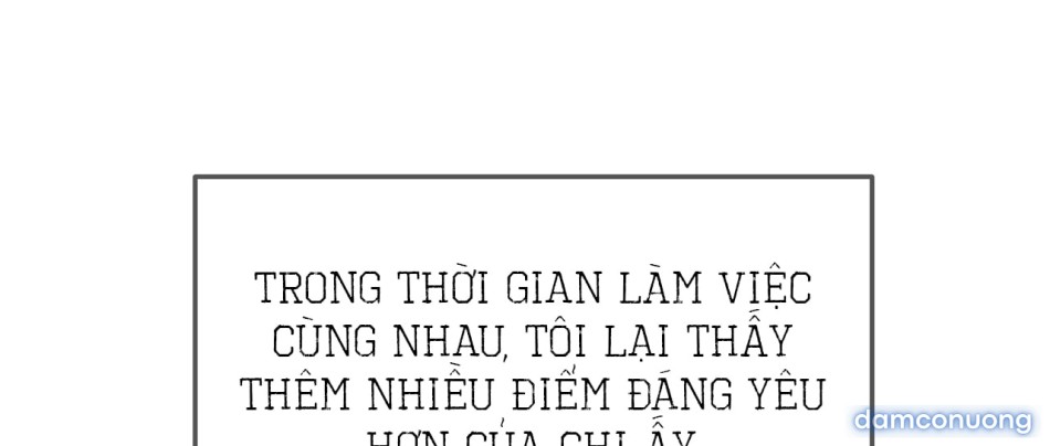 Sự Quyến Rũ Lạnh Lùng 