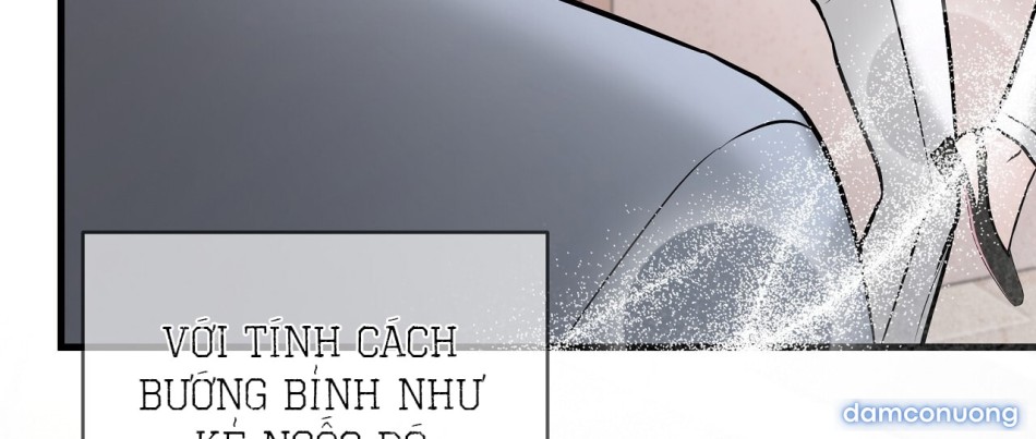 Sự Quyến Rũ Lạnh Lùng 