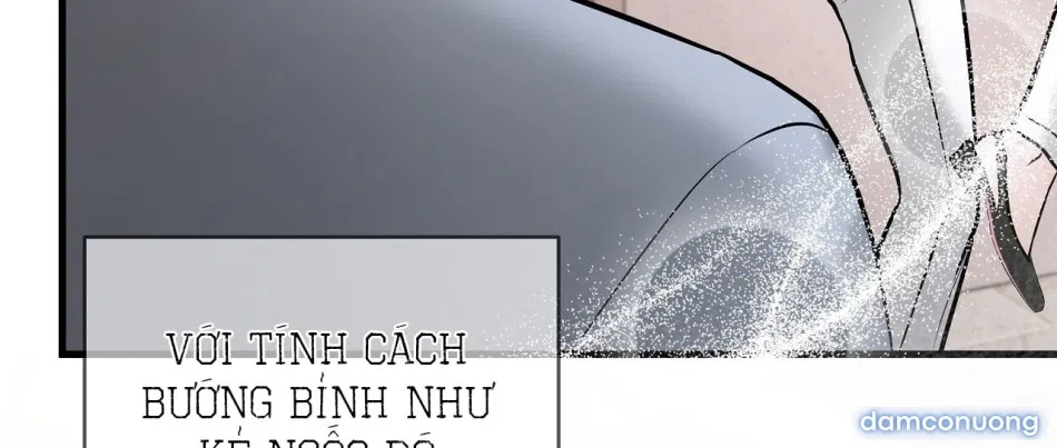 Sự Quyến Rũ Lạnh Lùng 