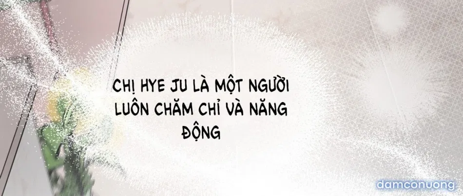 Sự Quyến Rũ Lạnh Lùng 