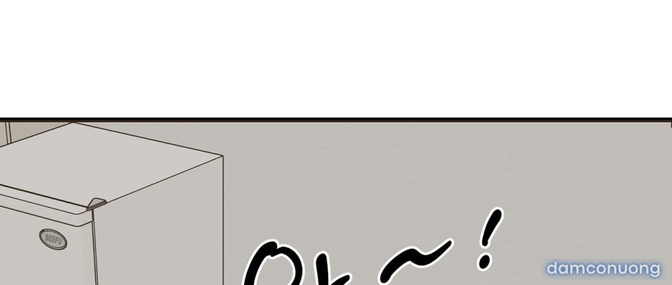 Sự Quyến Rũ Lạnh Lùng 