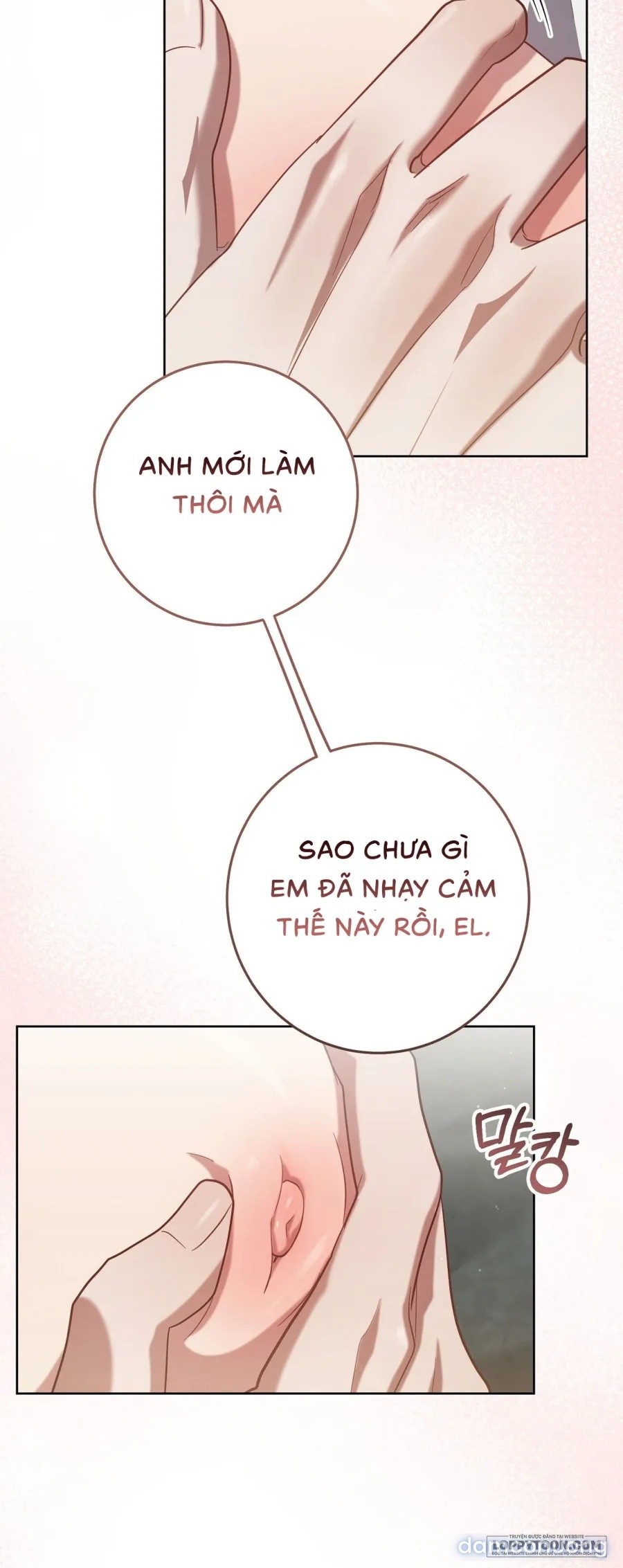 Đêm Đắm Chìm Trên Chuyến Hải Trình 