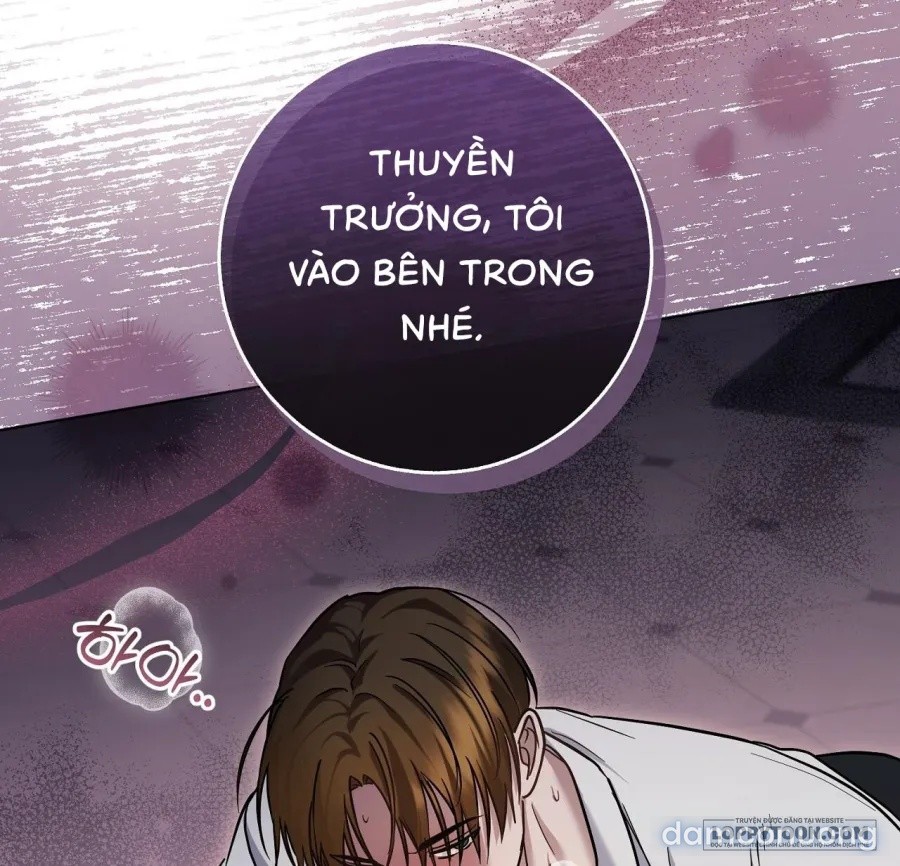 Đêm Đắm Chìm Trên Chuyến Hải Trình 