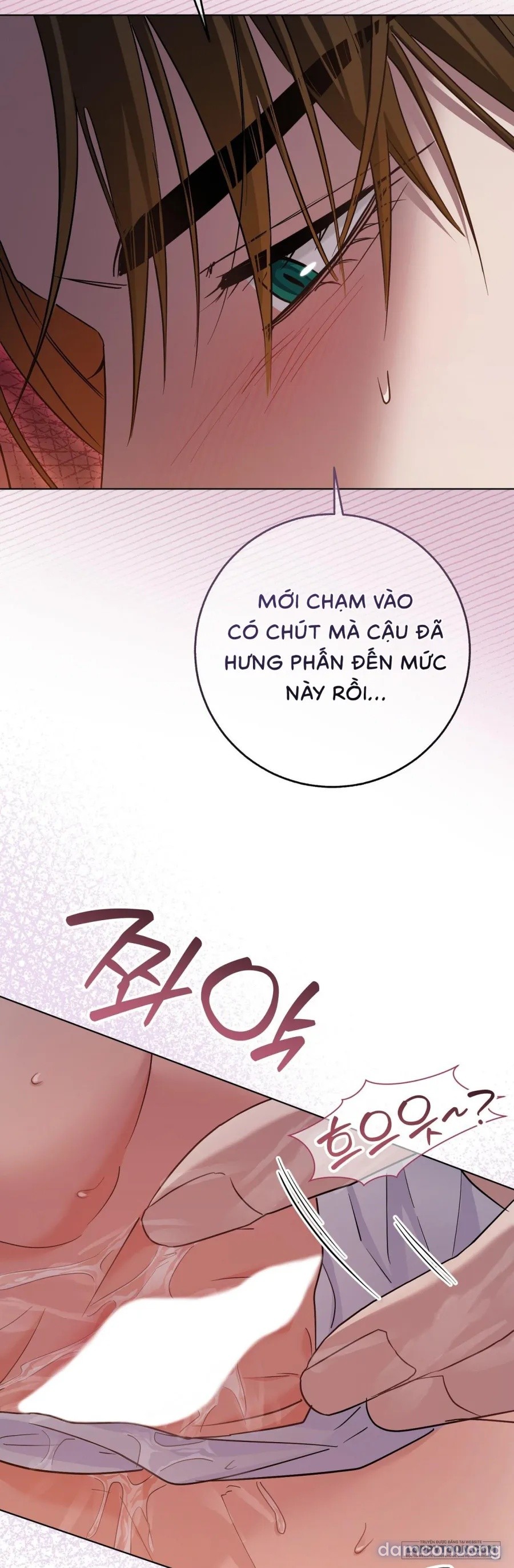Đêm Đắm Chìm Trên Chuyến Hải Trình 