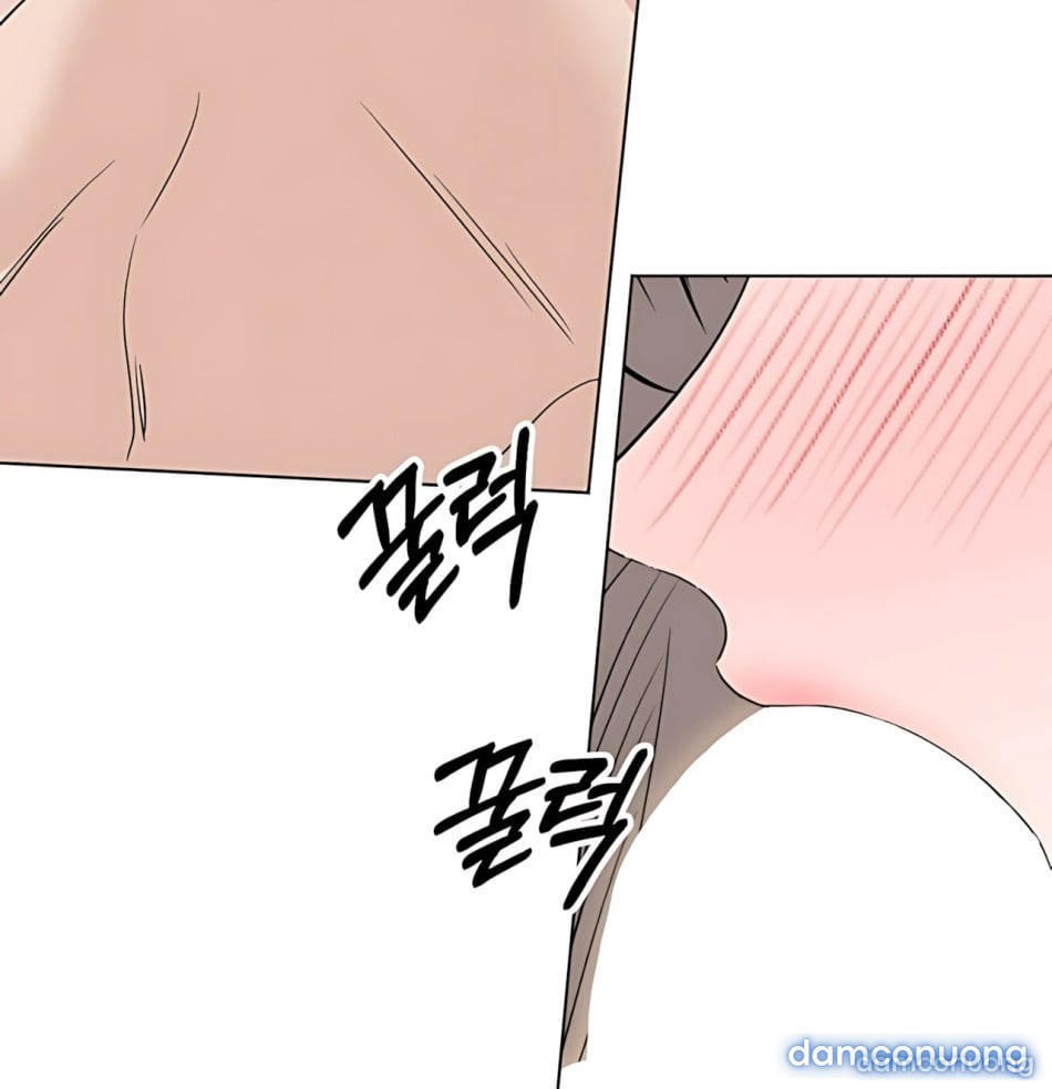 Cún Nhỏ Của Chú Nhà Bên 