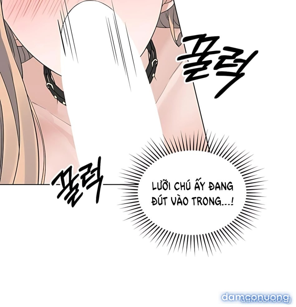 Cún Nhỏ Của Chú Nhà Bên 