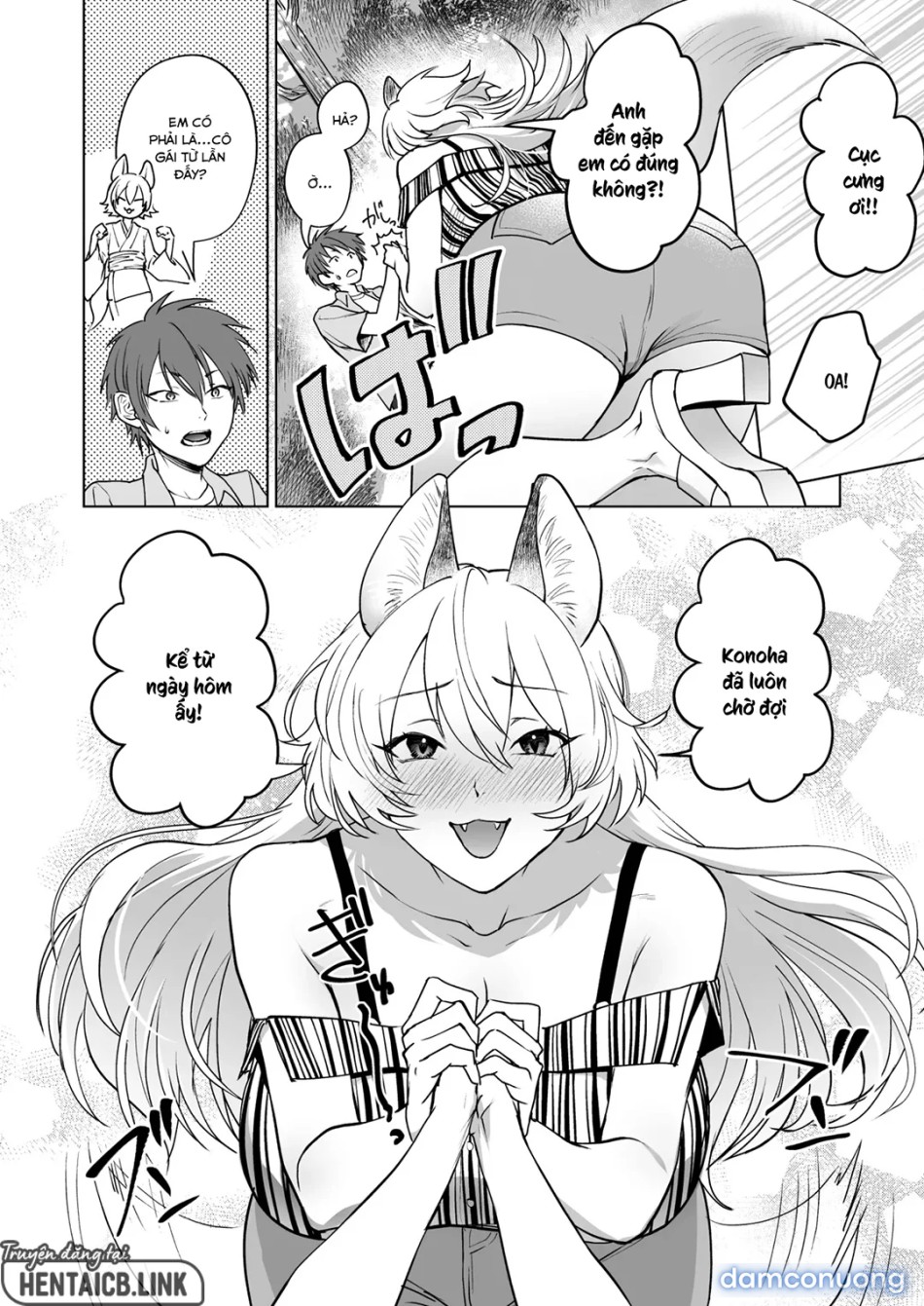 A Foxy Story 