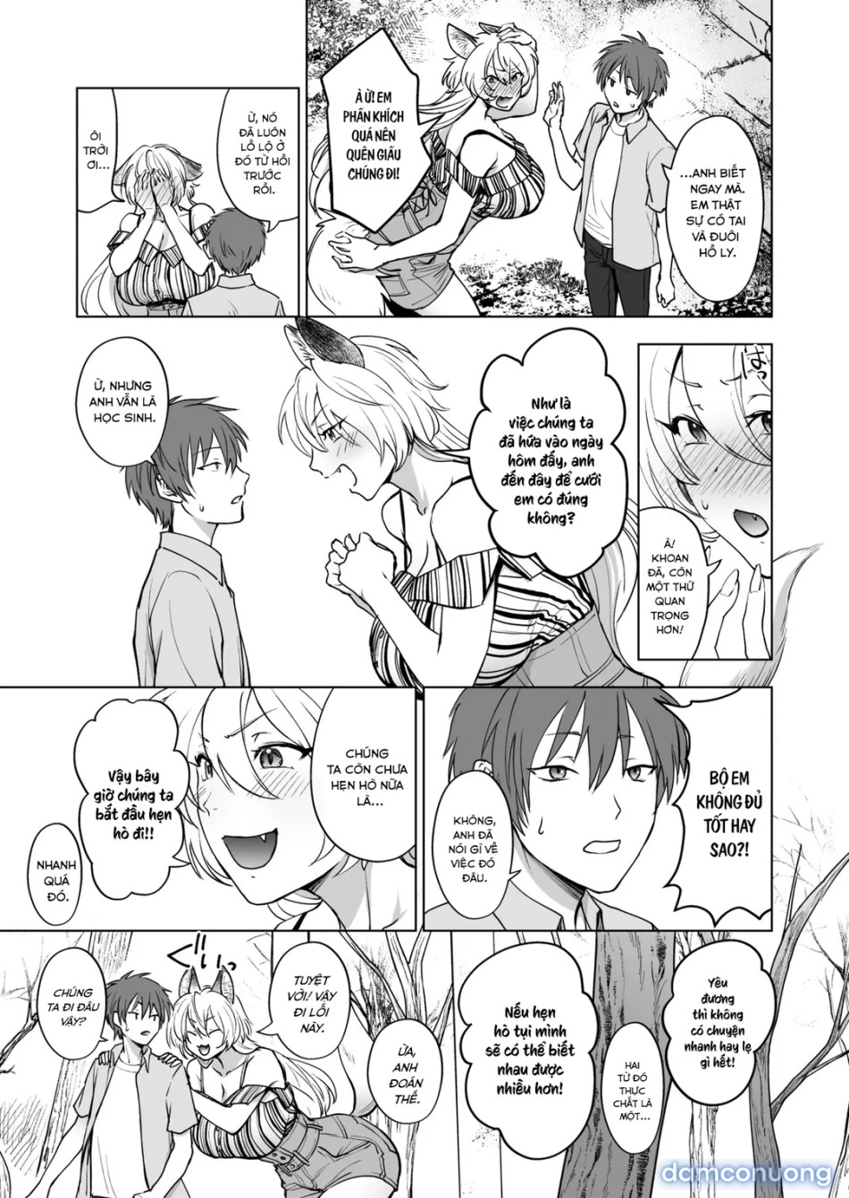 A Foxy Story 