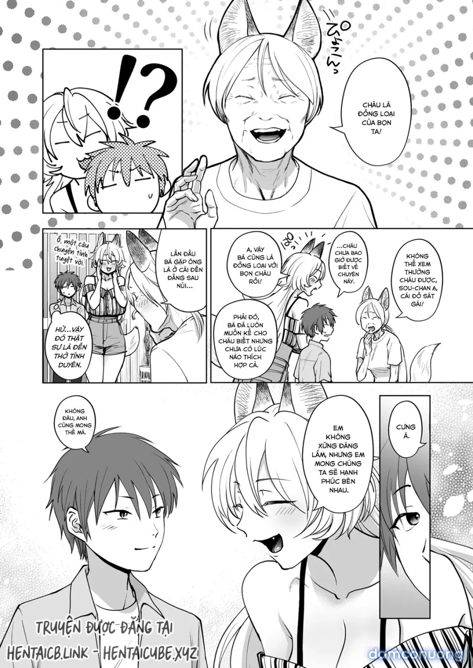 A Foxy Story 