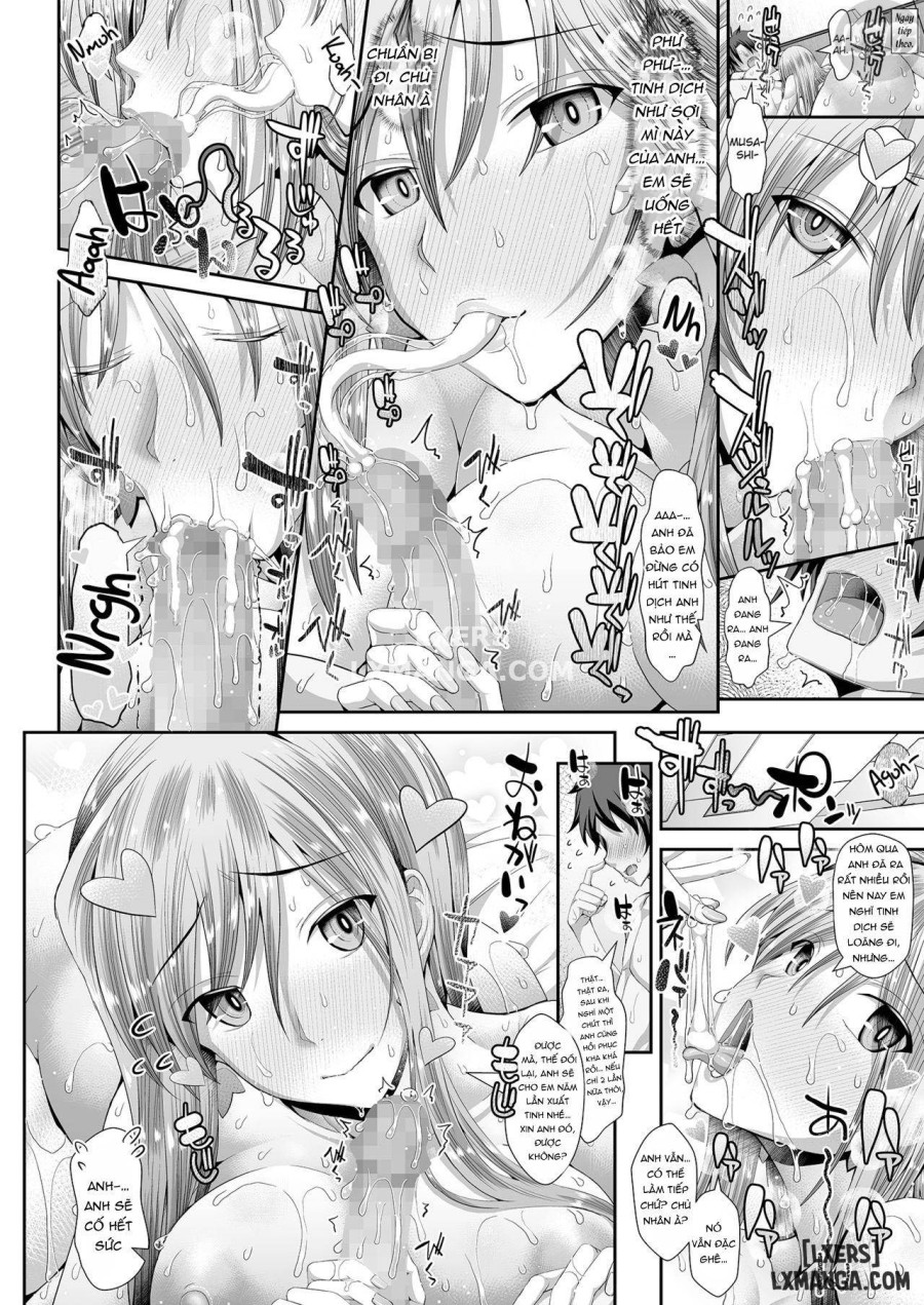 Chaldea SEX Rotation 