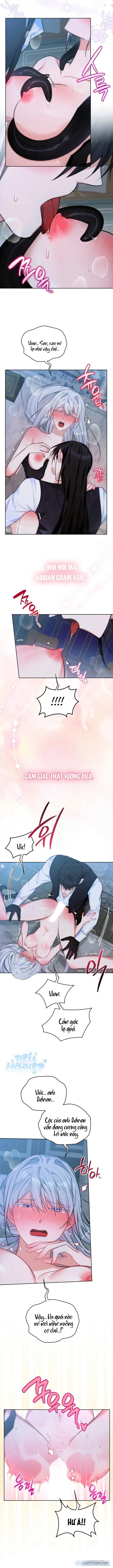 [18+] Gửi Đến Kẻ Bất Tử Mà Không Thể Thành Thật Của Tôi 