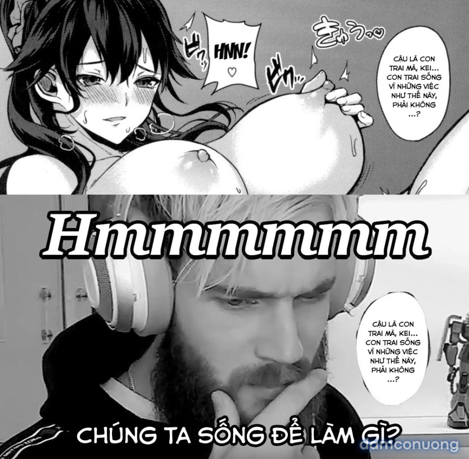 Dàn Harem Idol 