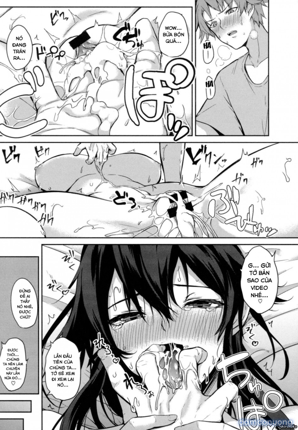 Dàn Harem Idol 