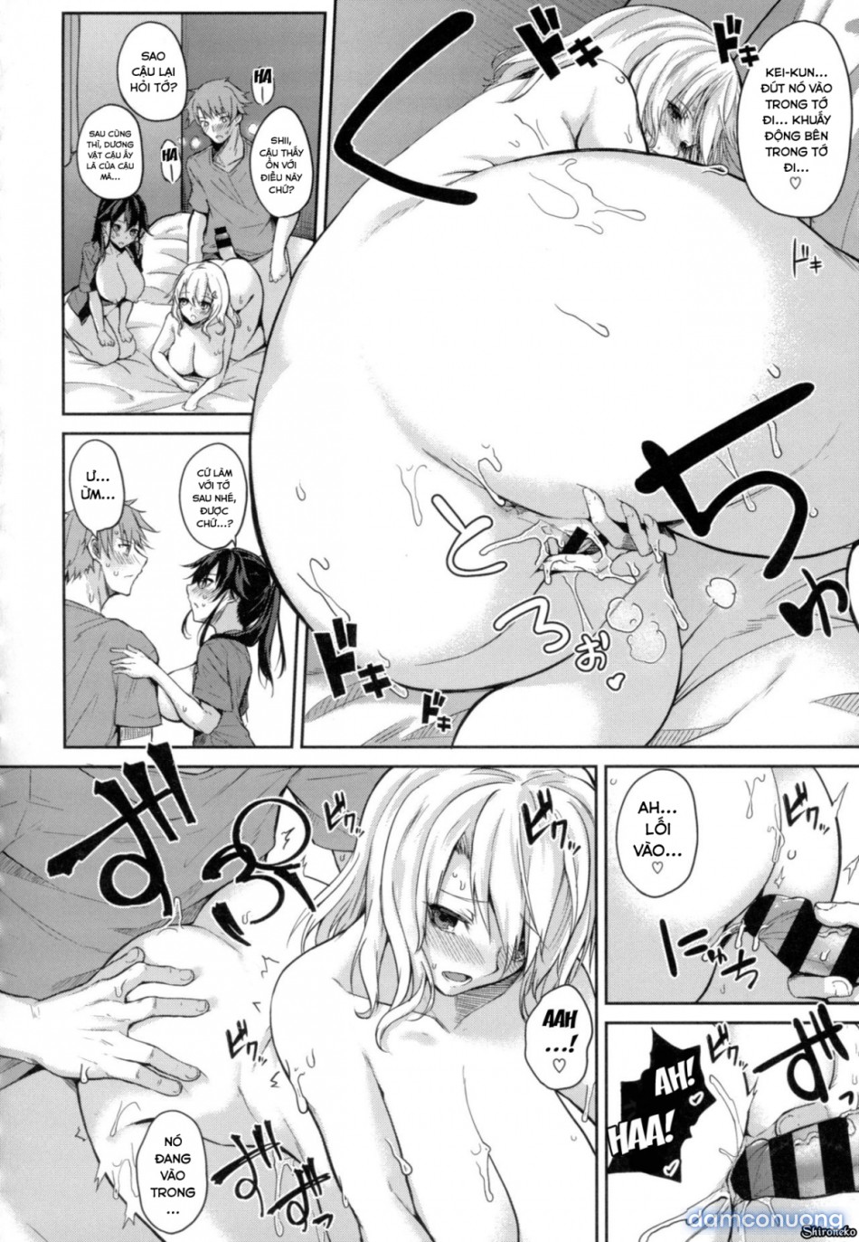 Dàn Harem Idol 