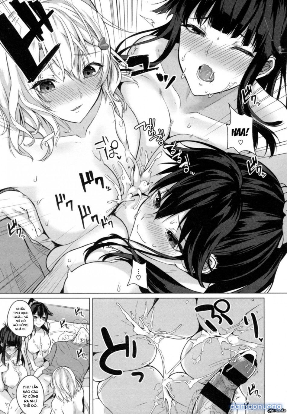 Dàn Harem Idol 