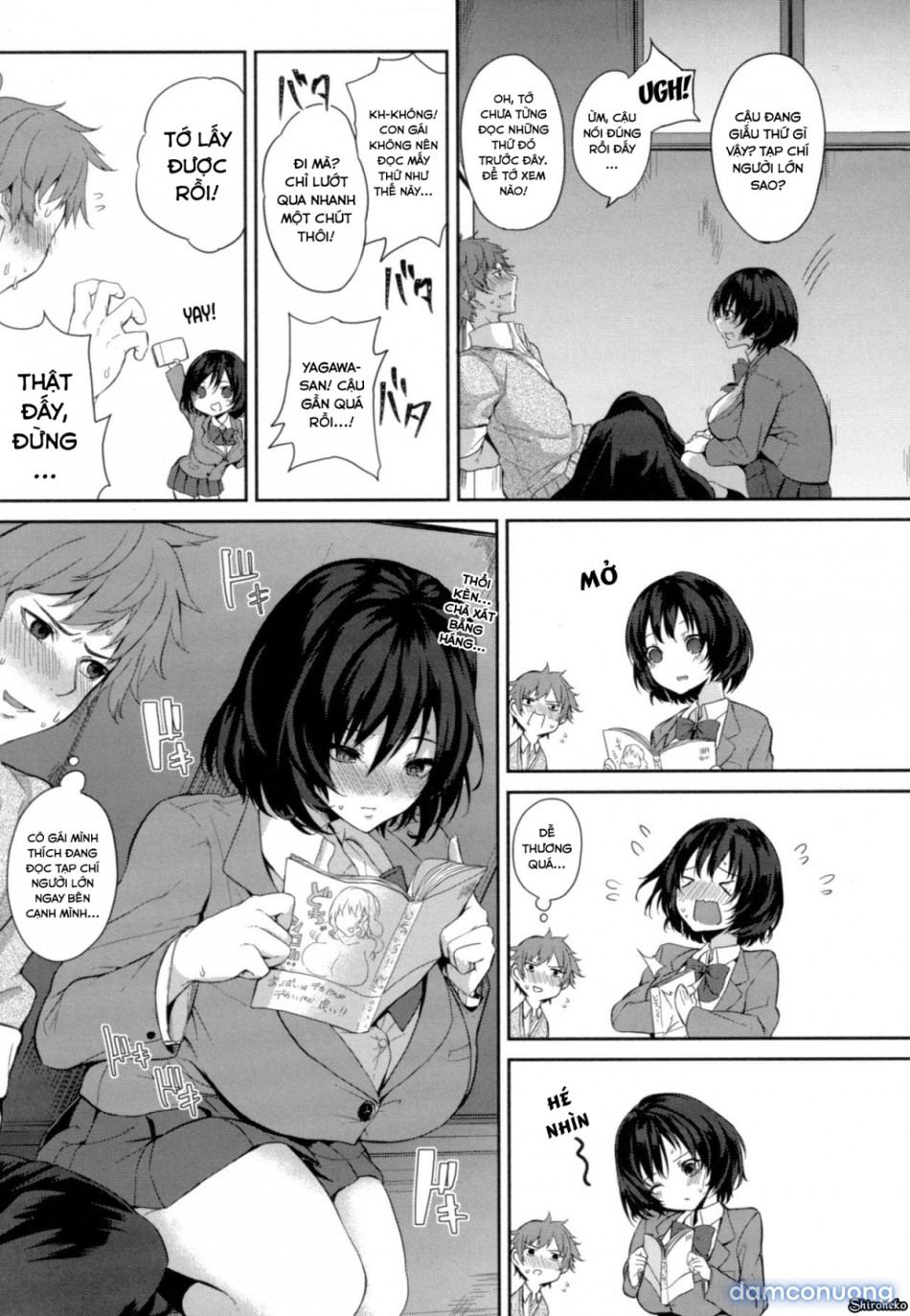 Dàn Harem Idol 