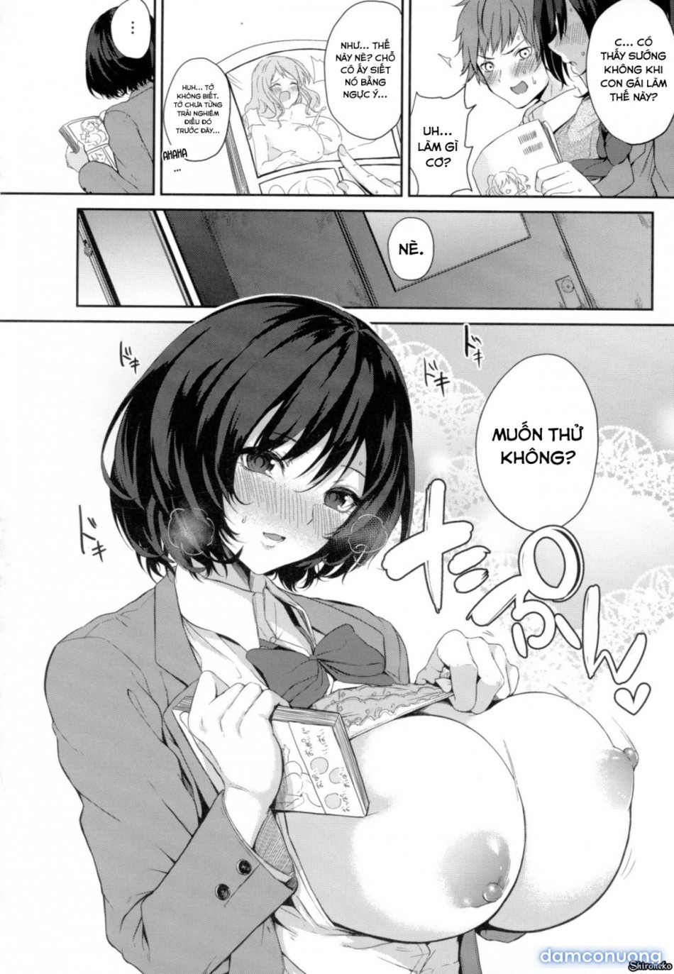Dàn Harem Idol 