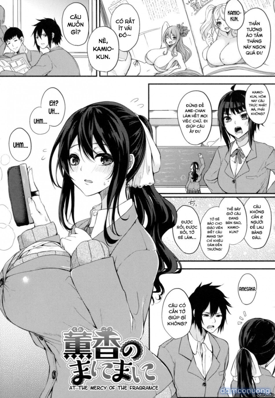 Dàn Harem Idol 