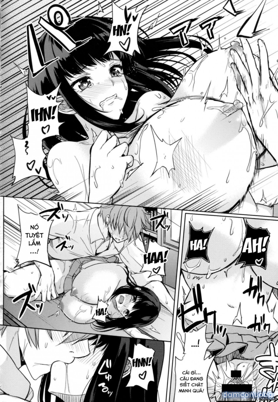Dàn Harem Idol 