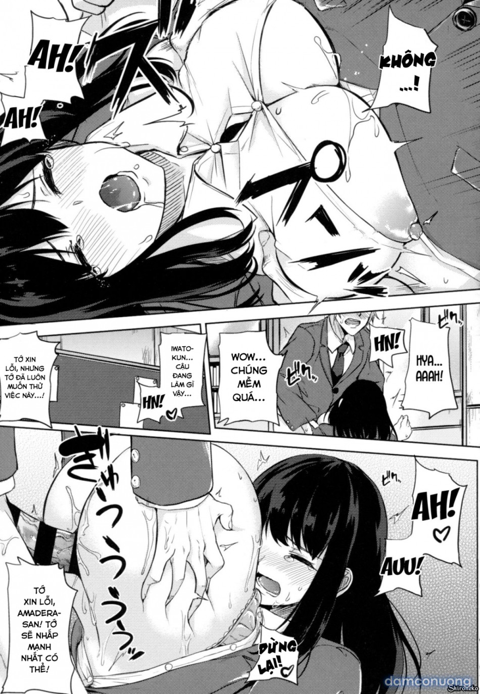 Dàn Harem Idol 