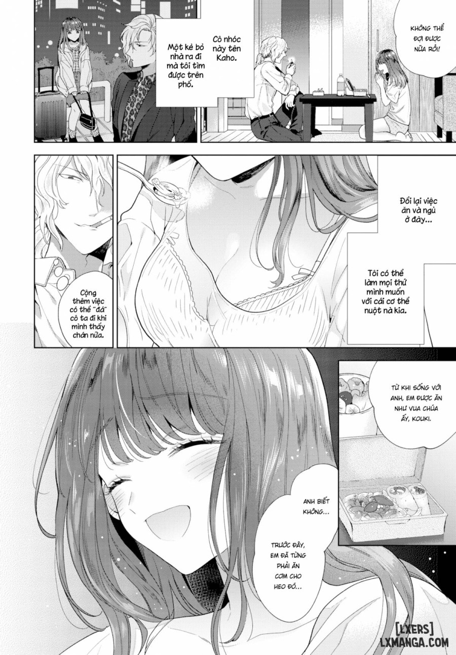 Licking Wounds 
