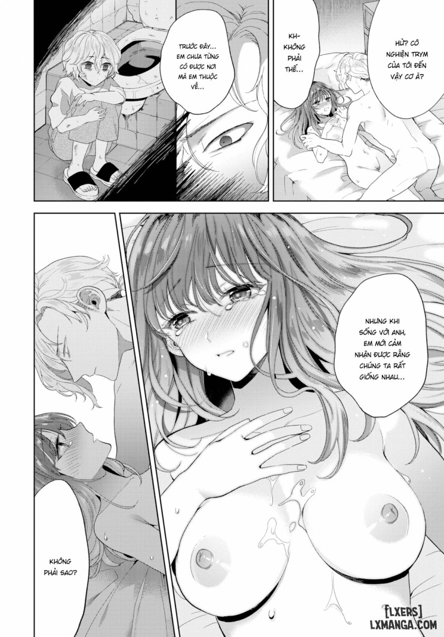Licking Wounds 