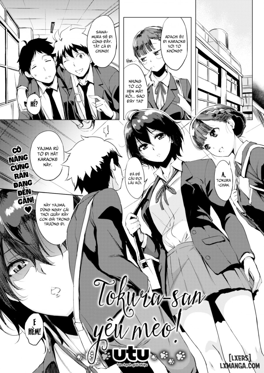 Tokura-san Loves Cat 