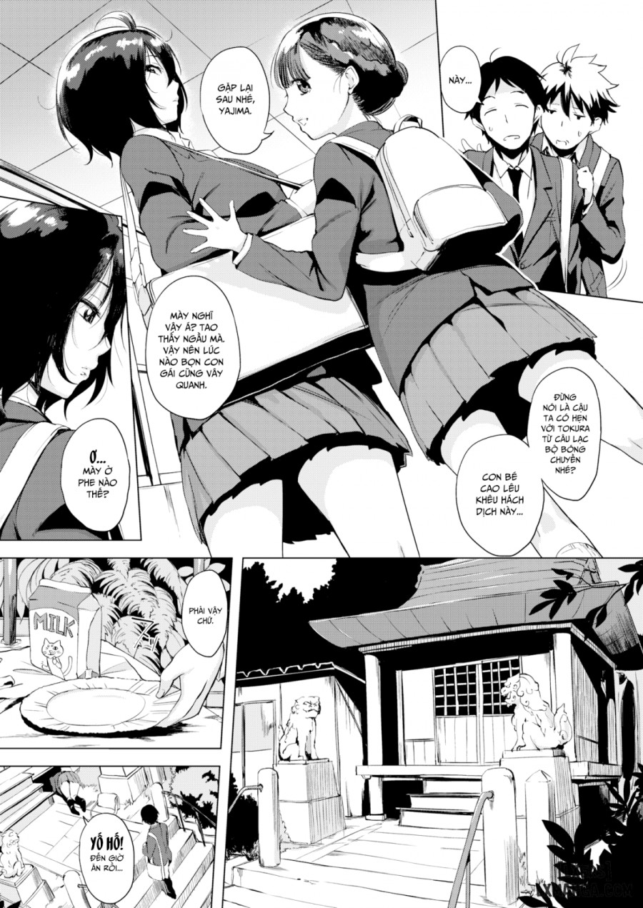 Tokura-san Loves Cat 