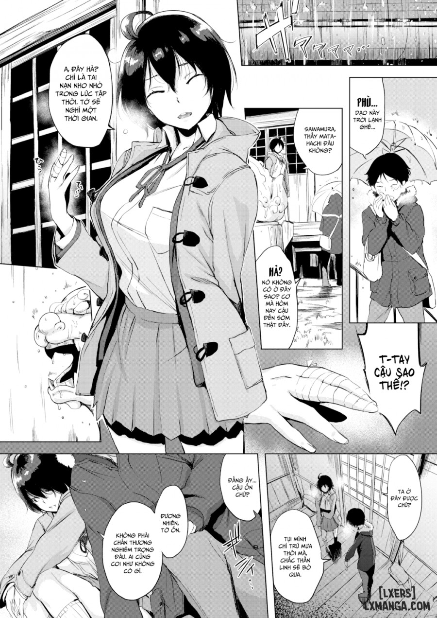 Tokura-san Loves Cat 