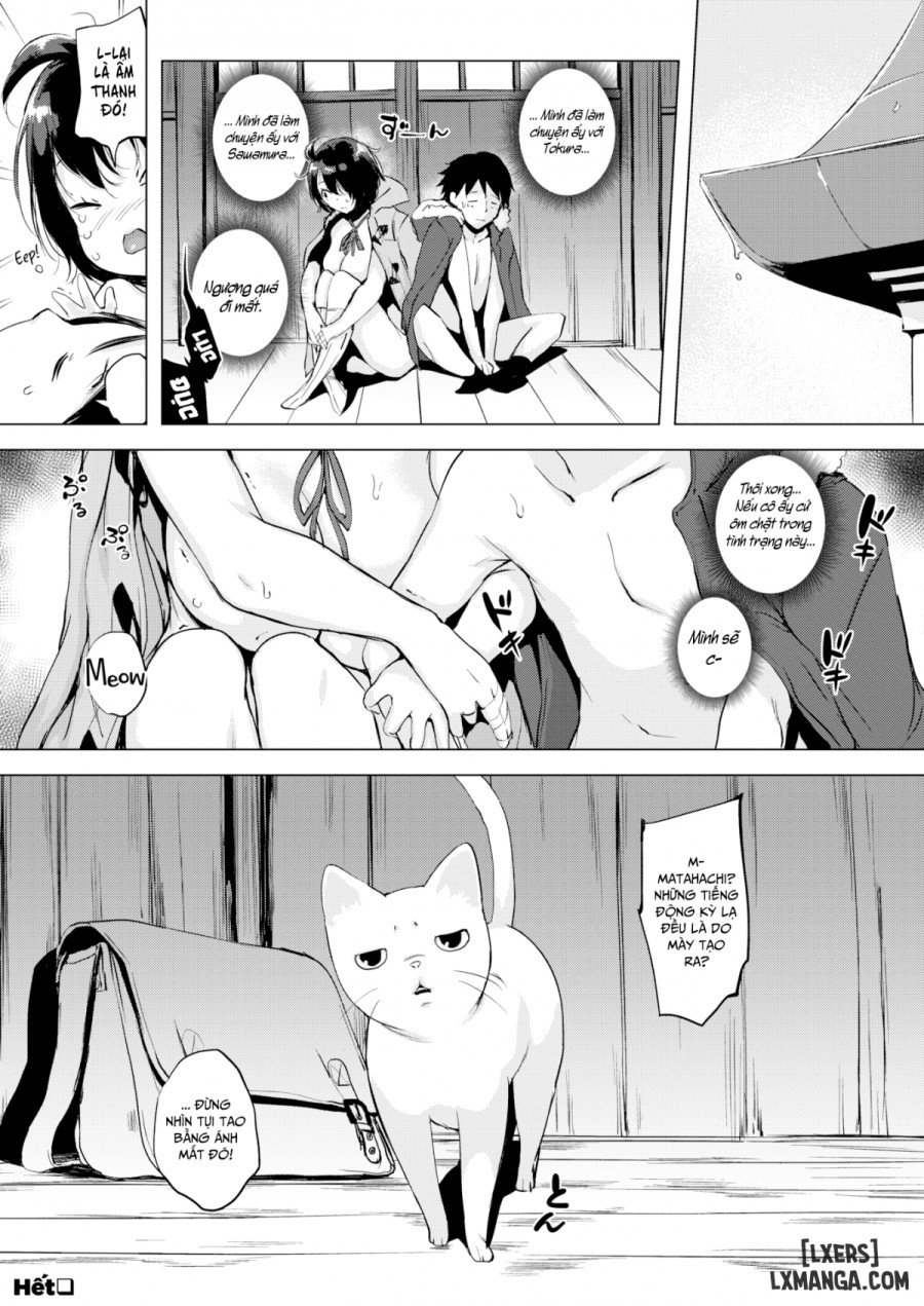 Tokura-san Loves Cat 