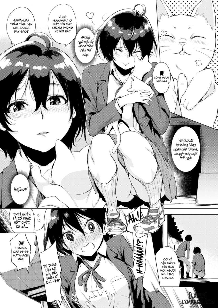Tokura-san Loves Cat 