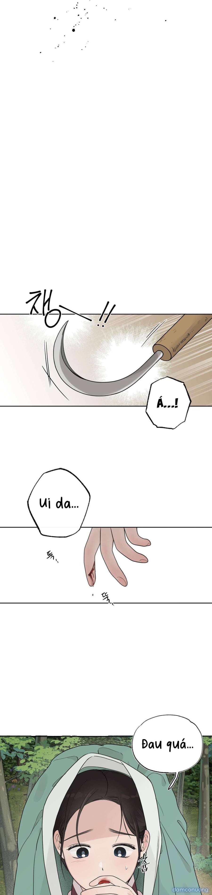[ 18+ ] Bibisea 