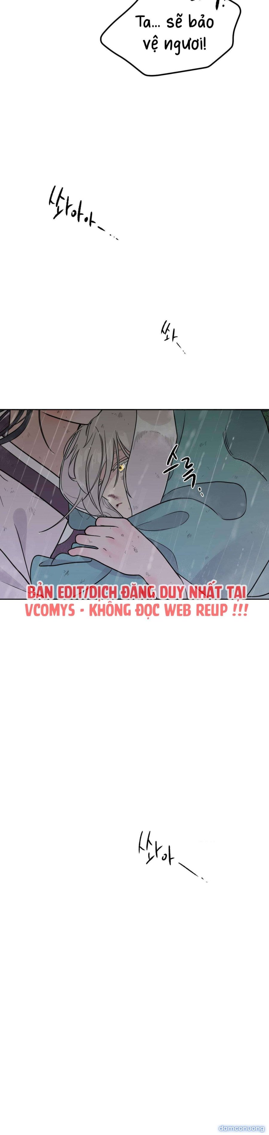 [ 18+ ] Bibisea 