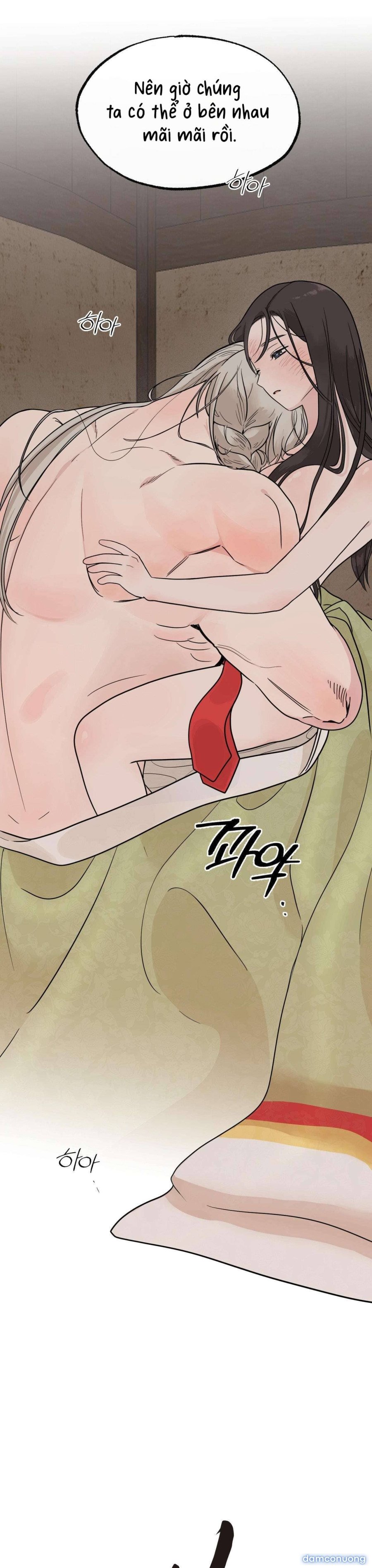 [ 18+ ] Bibisea 