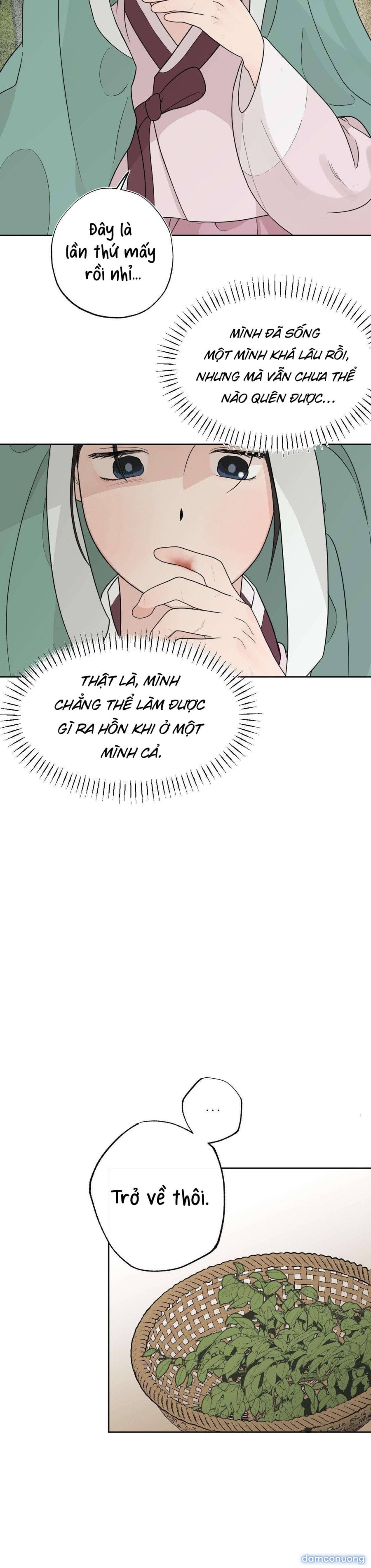 [ 18+ ] Bibisea 