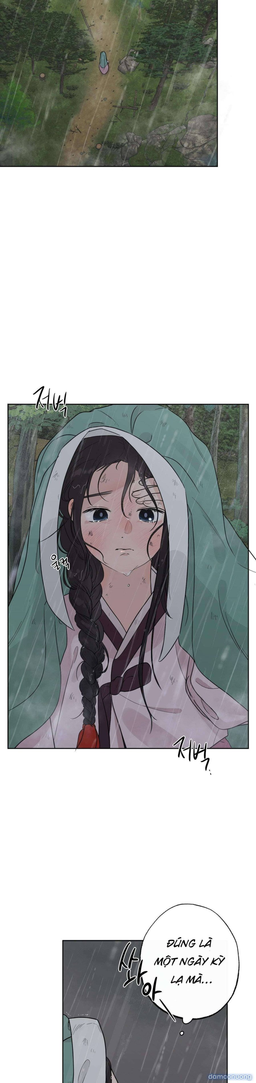 [ 18+ ] Bibisea 