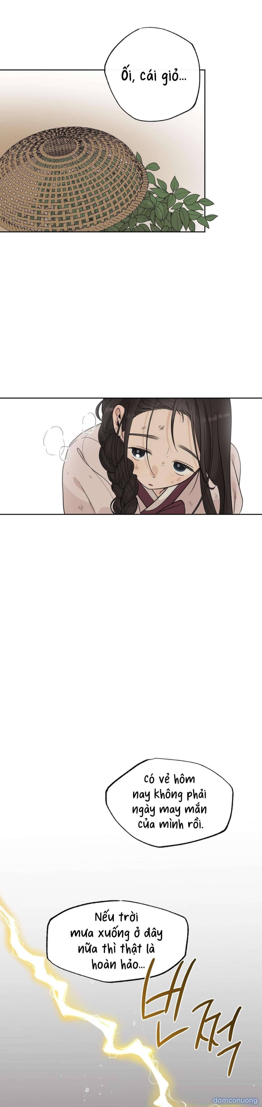 [ 18+ ] Bibisea 